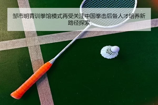 邹市明青训拳馆模式再受关注中国拳击后备人才培养新路径探索